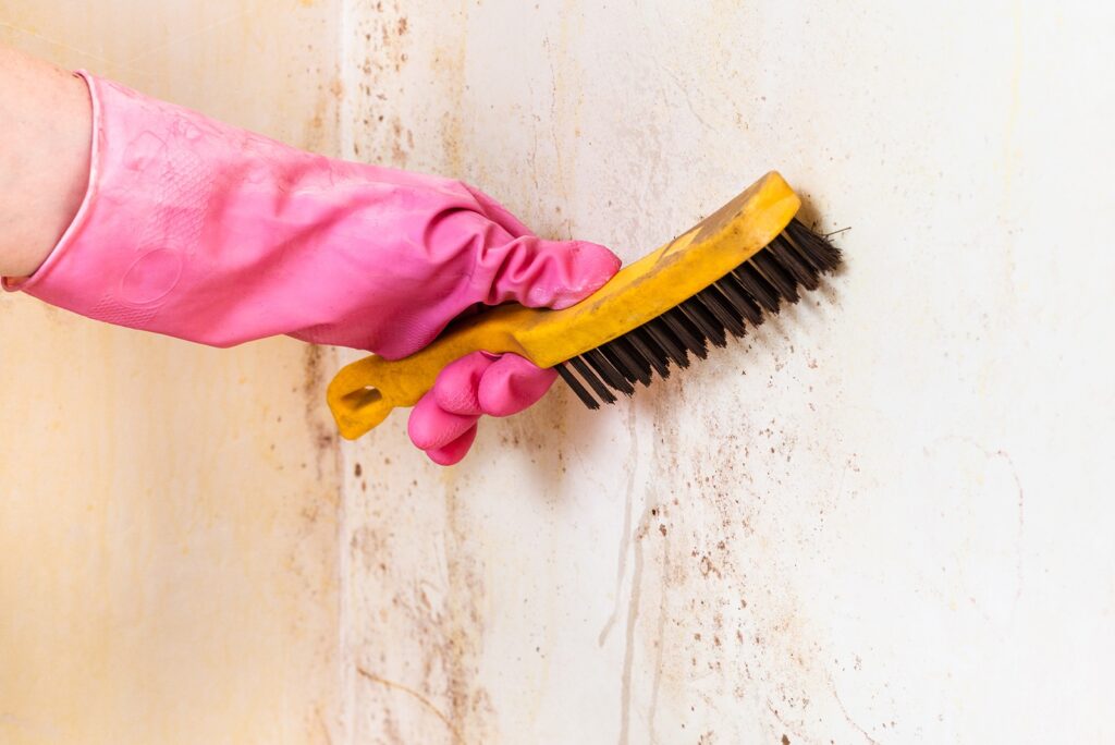 How to Clean Mold off Walls