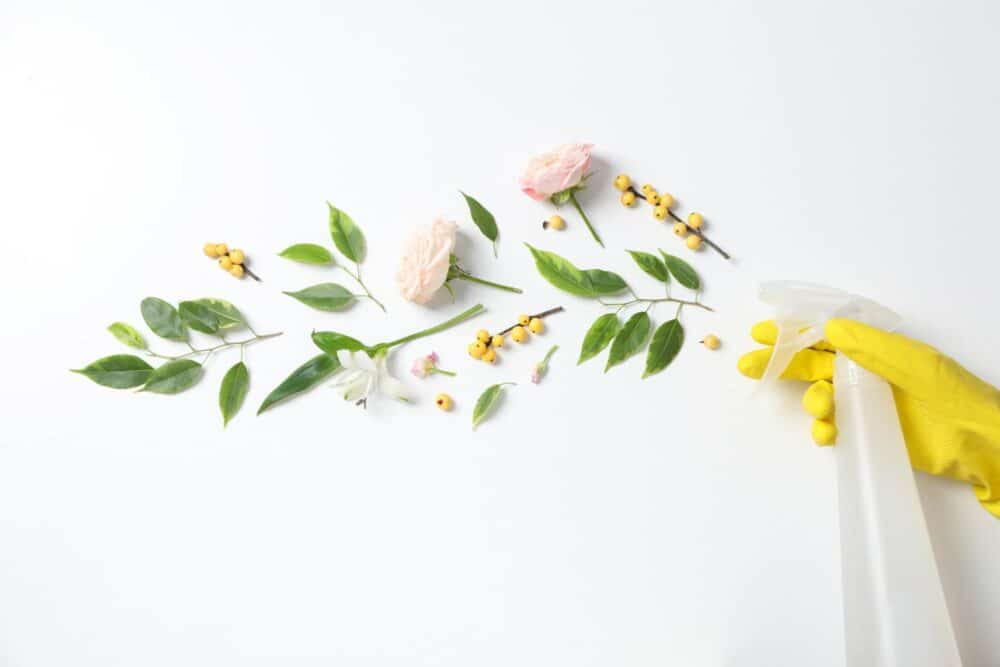 spring cleaning tips